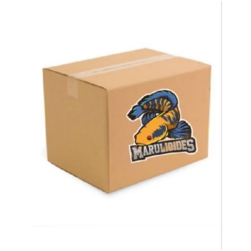 

box chana ys 7-8cm
