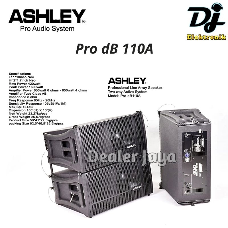 Speaker Line Array Ashley PRO DB 110 / PRO DB110 - 10 inch Pasif