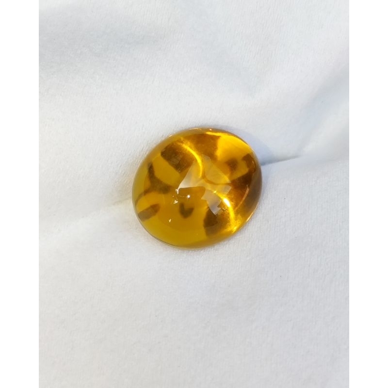 KECUBUNG KUNING JEMAYAS KECUBUNG MADU KECUBUNG KUNYIT