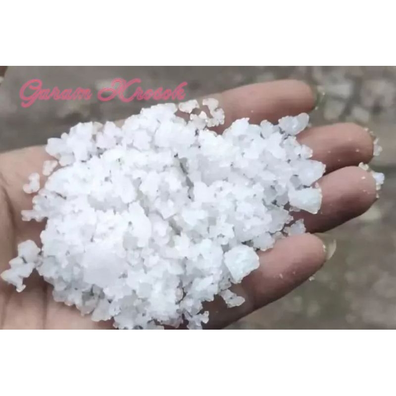 

Garam Krosok Asli Murni Dari Petani