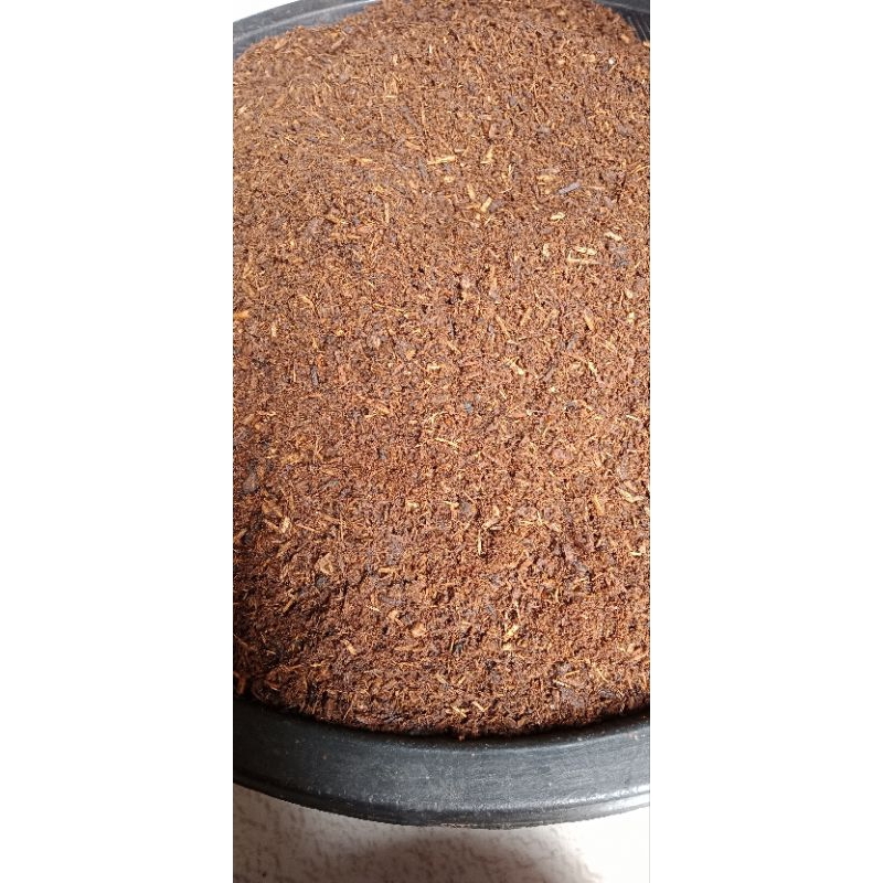 DUPA PENGANTIN #DUPA BONDOWOSO #DUPA WANGI #DUPA ARAB #DUPA PENGANTIN ARAB