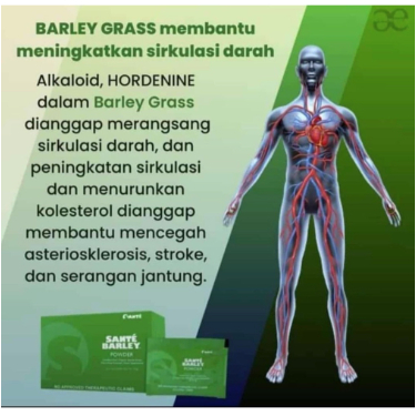 Santé Barley Powder - pure organic barley grass new zela