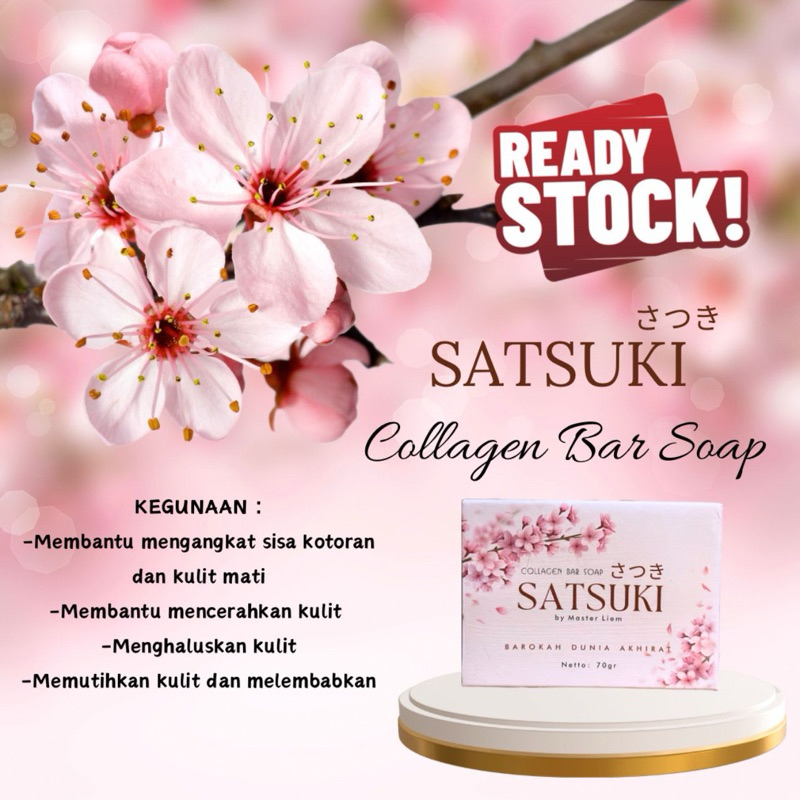 Satsuki Collagen Bar Soap by Master Liems