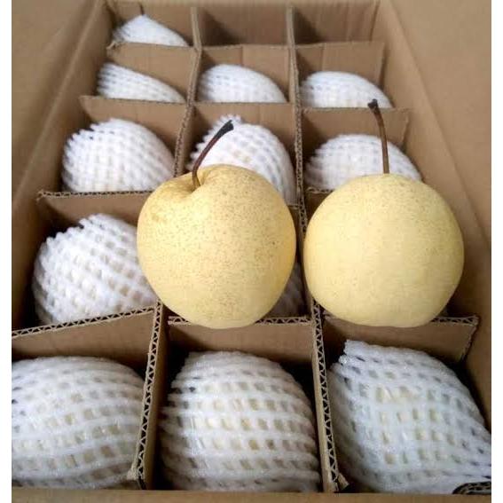 

BUAH PEAR SWEET 1kg / 500gr