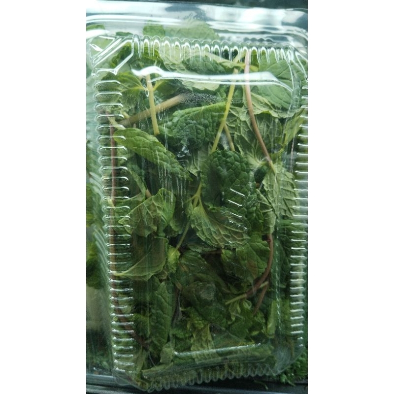 

Daun Mint Per pack