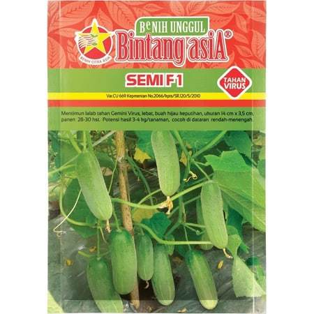 

BENIH UNGGUL MENTIMUN LALAB | SEMI F1 | 20 GRAM | Timun Tahan Virus