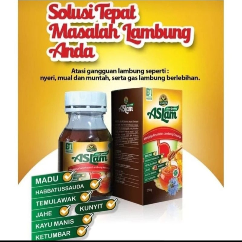 madu aslam lambung 280 gram