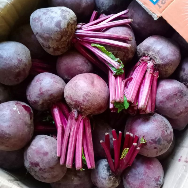 

Buah bit beet root 1kg