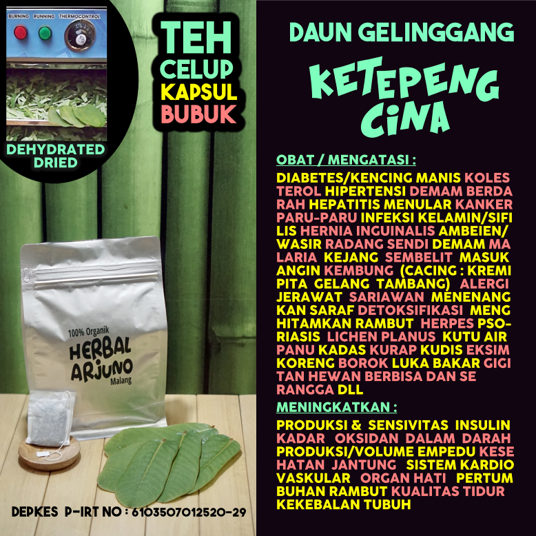 

Dehydrated Dried Teh Celup Kapsul Bubuk Daun Ketepeng Cina Ki Manila Obat DBD Demam Berdarah Trombosit Hepatitis Herpes Sifilis Hernia Kanker Paru Wasir Diabetes Cacingan Detoksifikasi Jerawat Eksim Kudis Koreng Kurap Menghitamkan Rambut Herbal Alami