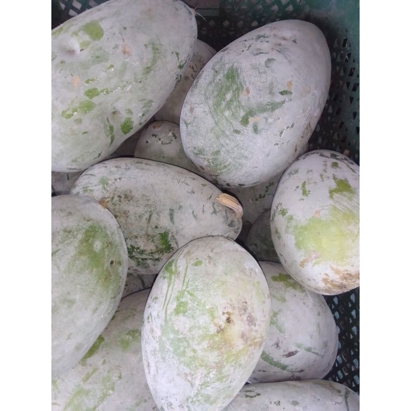 

sayuran gundur\bligo\kundur per kg 8.000