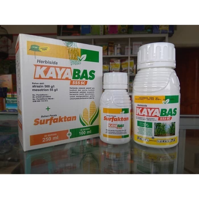 KAYABAS 1 LITER