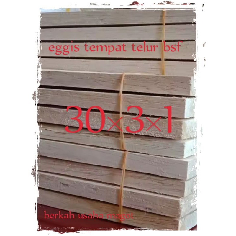 tempat telur bsf | egis..lalat bsf | promo isi 6pcs