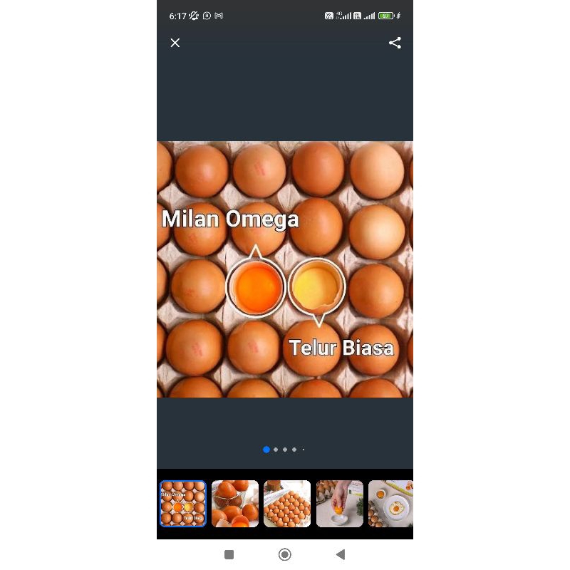 

Telor omega premium 1kg
