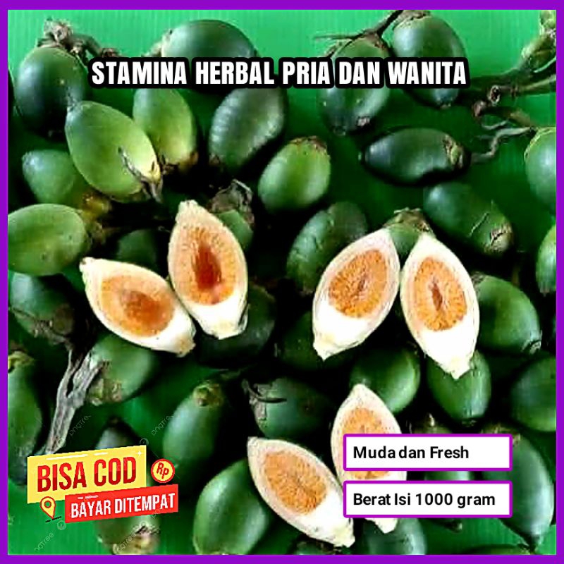 

SETAMINA HERBAL PINANG MUDA FRESH 1 KG UNTUK PRIA KUWAT