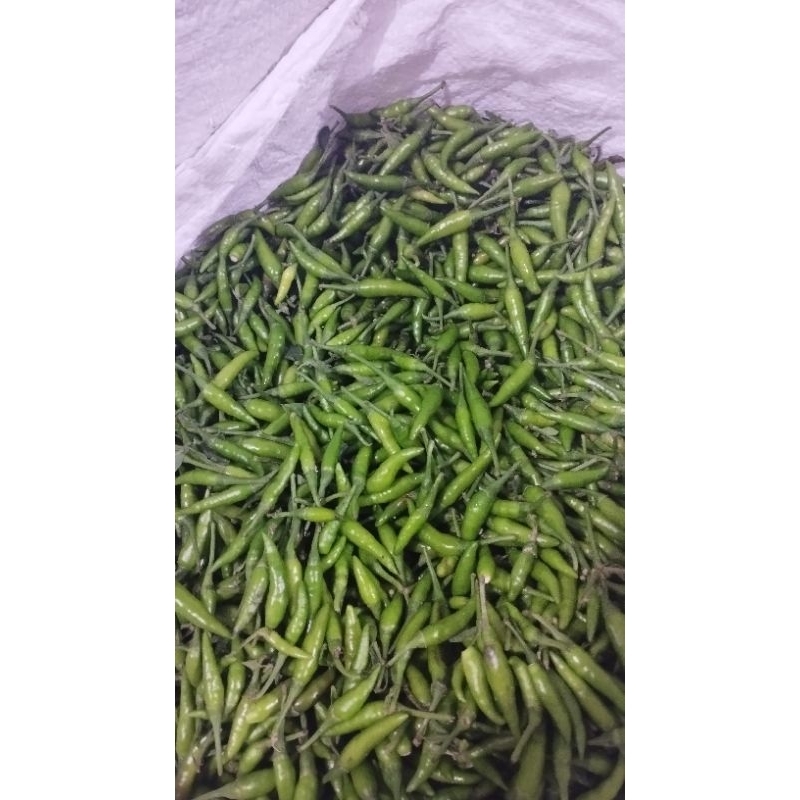 

cabe rawit hijau petani