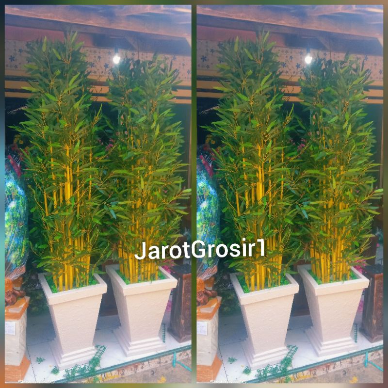 POHON BAMBU KUNING TINGGI 2 METER // BAMBU KUNING JUMBU SUPER // BAMBU HIAS RUANGAN 2 METER // BAMBU