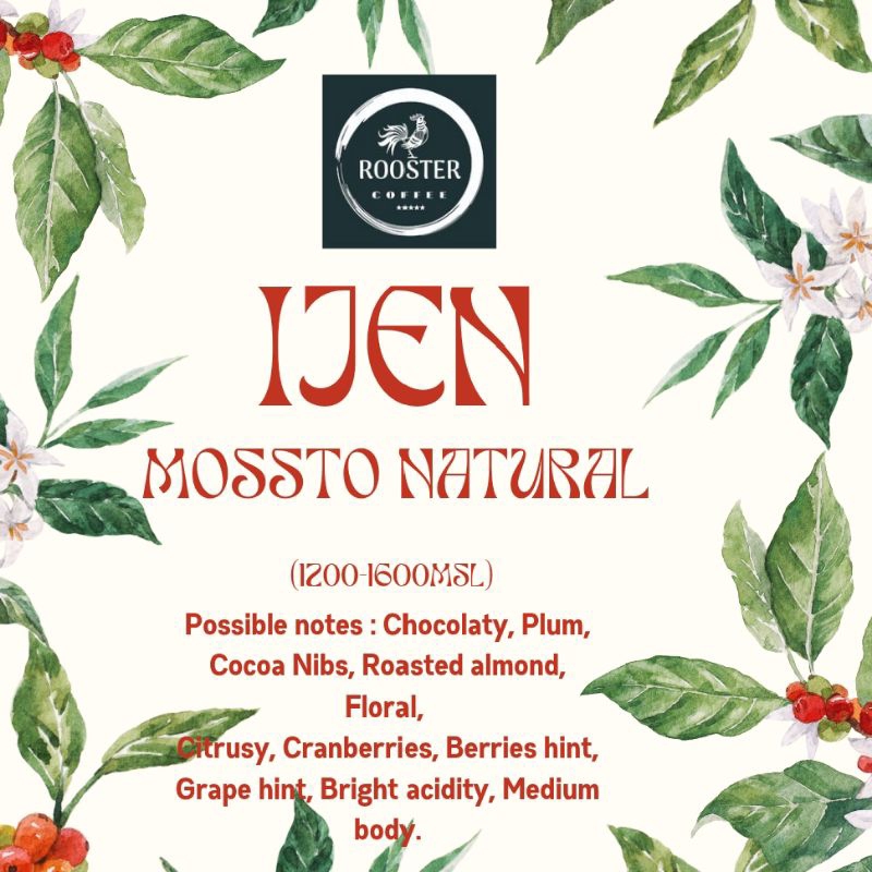 

Ijen Lestari - Mossto Natural - Rooster coffee - Specialty Coffee