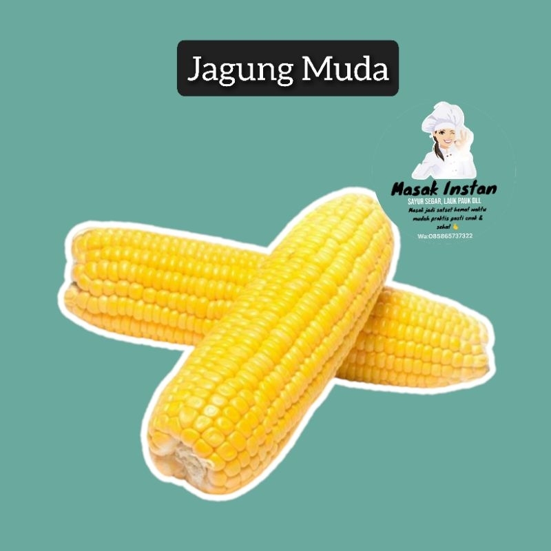

Jagung Muda jagung manis sayuran segar sehat makanan