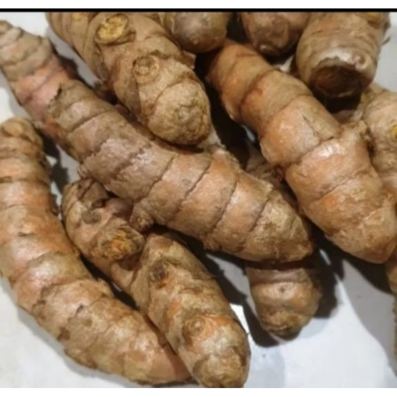 

Kunyit Segar 500gr 1000gr
