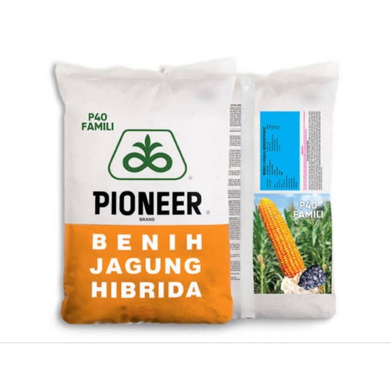 Benih Jagung Pioneer P40 1Kg Benih Jagung Hibrida