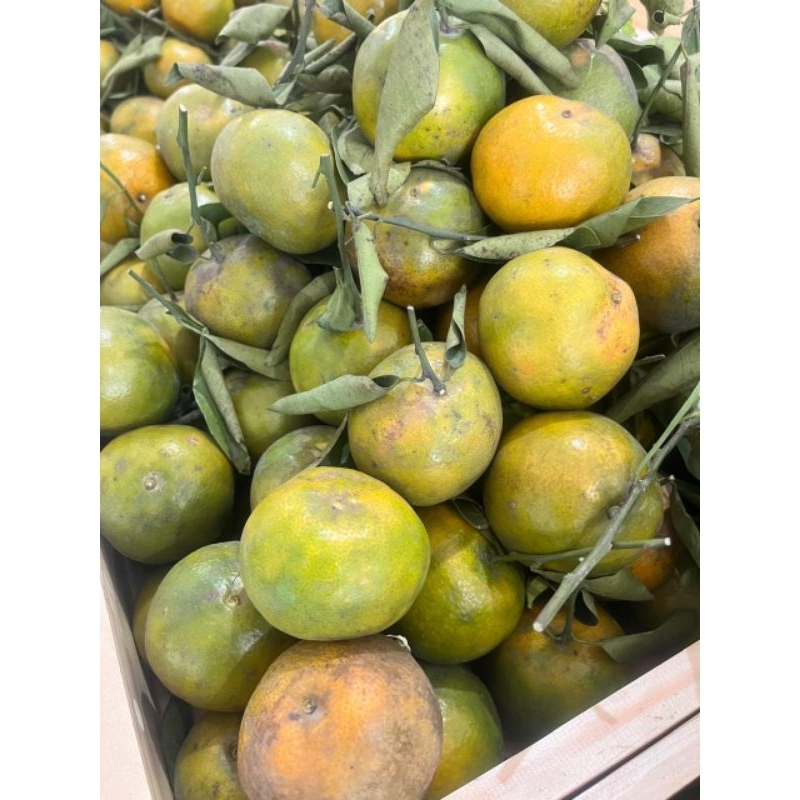 

Jeruk Madu manis (1kg)