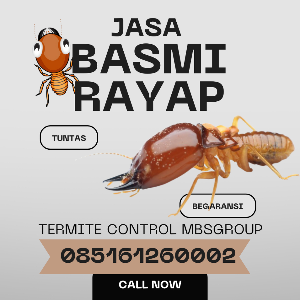 jual jasa basmi rayap lumajang anti rayap lumajang pest control lumajang fogging lumajang