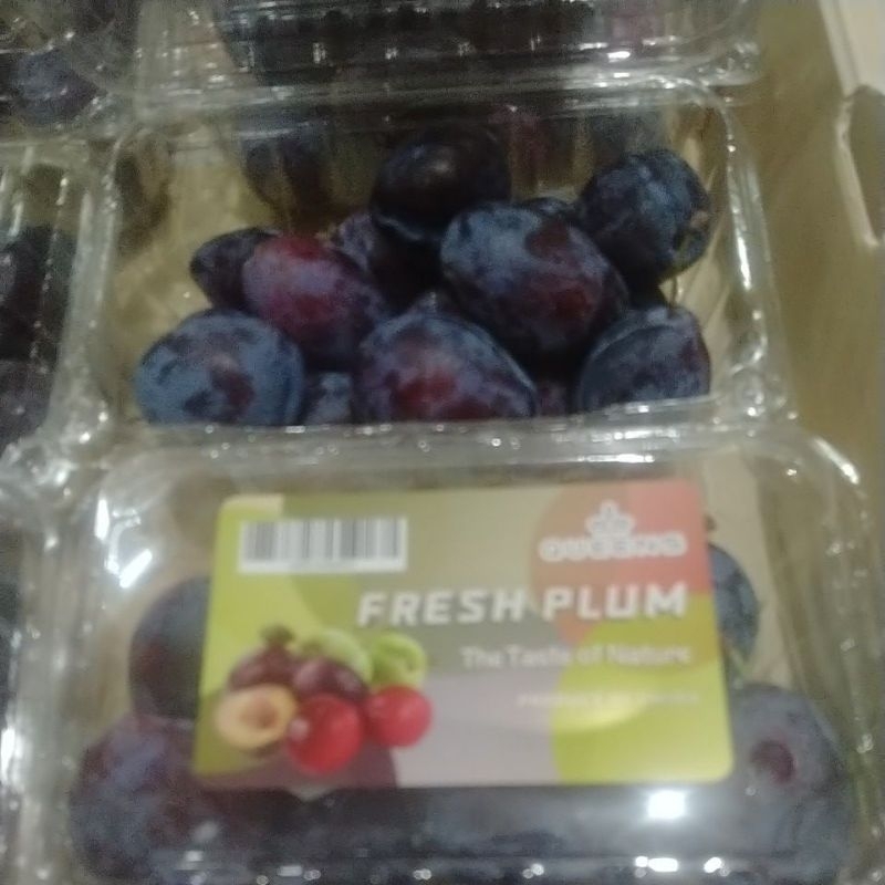 

Buah Fresh Plum pack 500 gr
