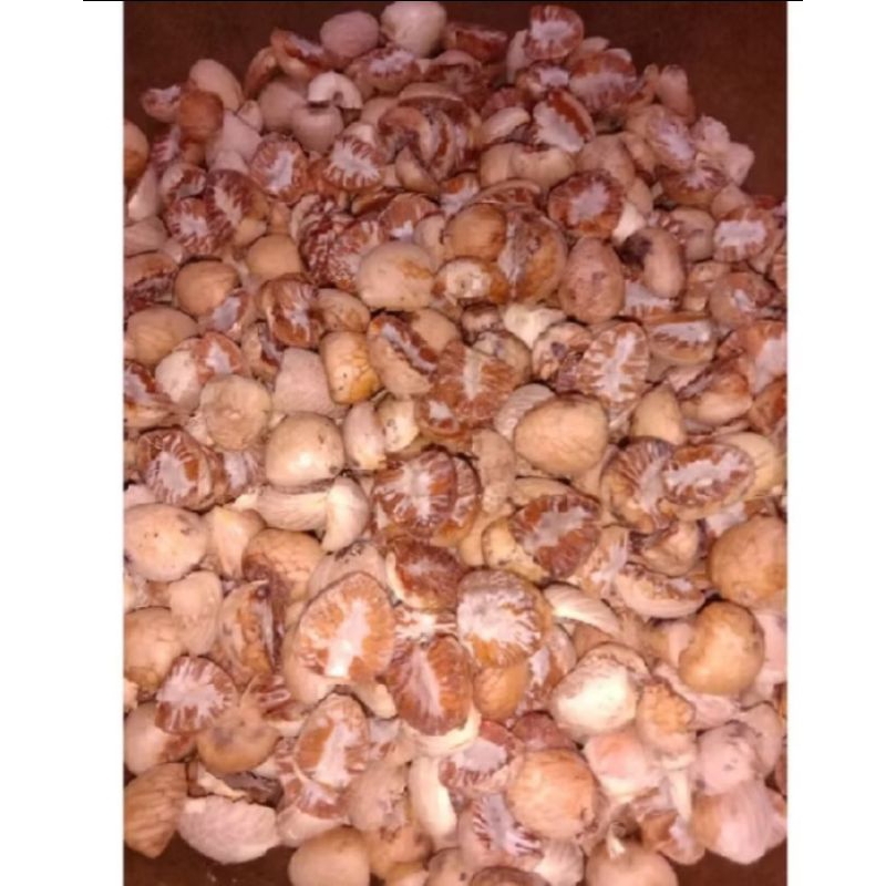 buah pinang tua kering 500 g