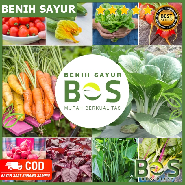 Bosplant - Bibit Sayur Sayuran Paket Lengkap Varian Unggulan Benih Sayur sayuran lengkap Unggul