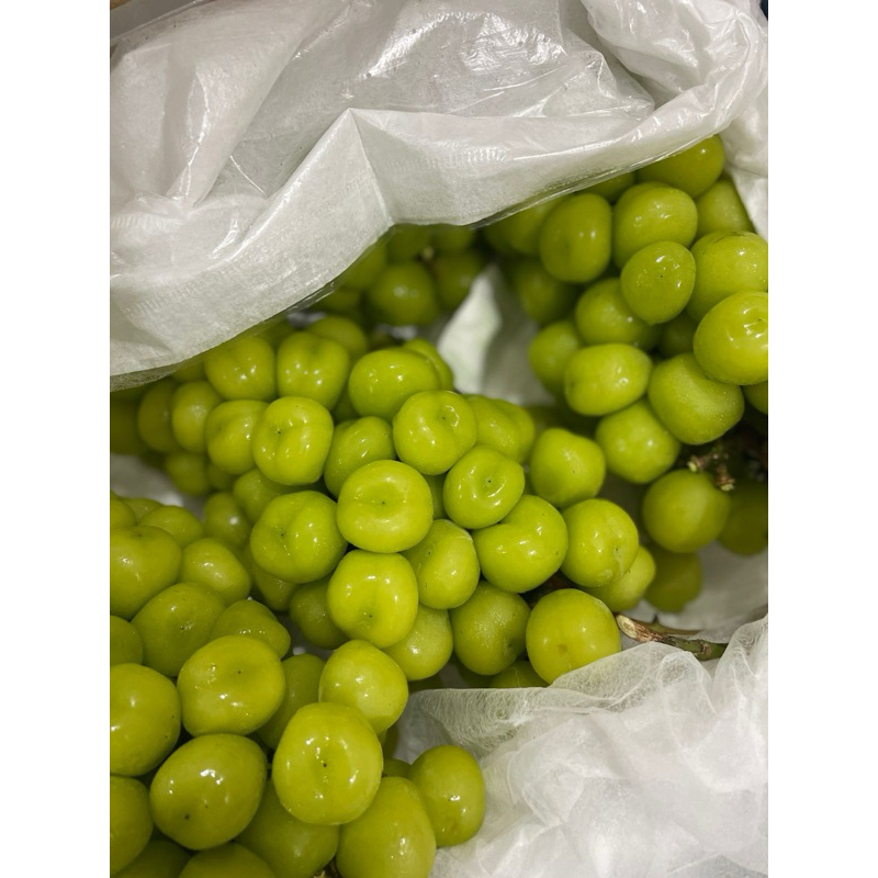

Anggur Hijau Shine Muscat 1kg
