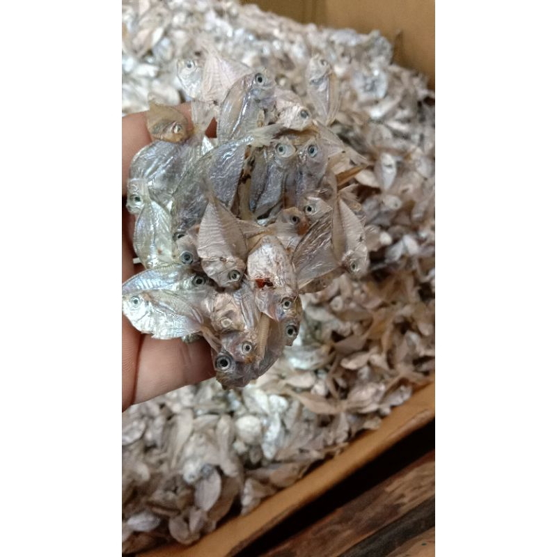 

ikan asin kempar/kopek/dodok kecil kemasan 250 gram