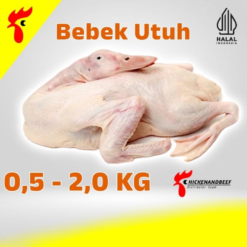 

BEBEK UTUH / DAGING BEBEK 0,5KG -2.0KG