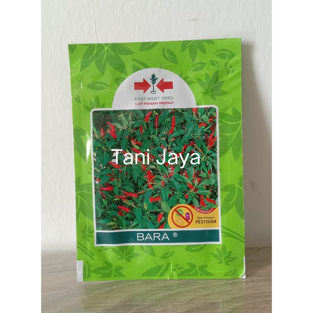 Benih Cabe Rawit Bara Isi 3200 Biji.Asli Kemasan Pabrik Panah Merah