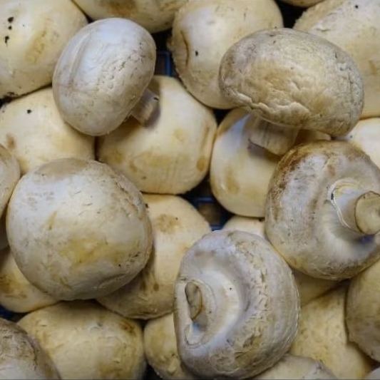 

Jamur Champignon 200-350 gr | tanya stock terlebih dahulu| Green Garden| hammysnotes
