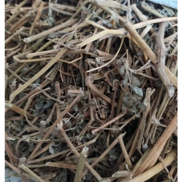 

Tribulus kering 50gr