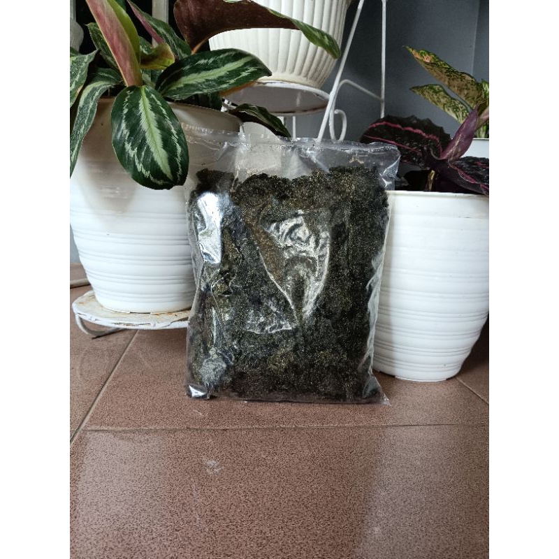 

nori remahan rumput laut