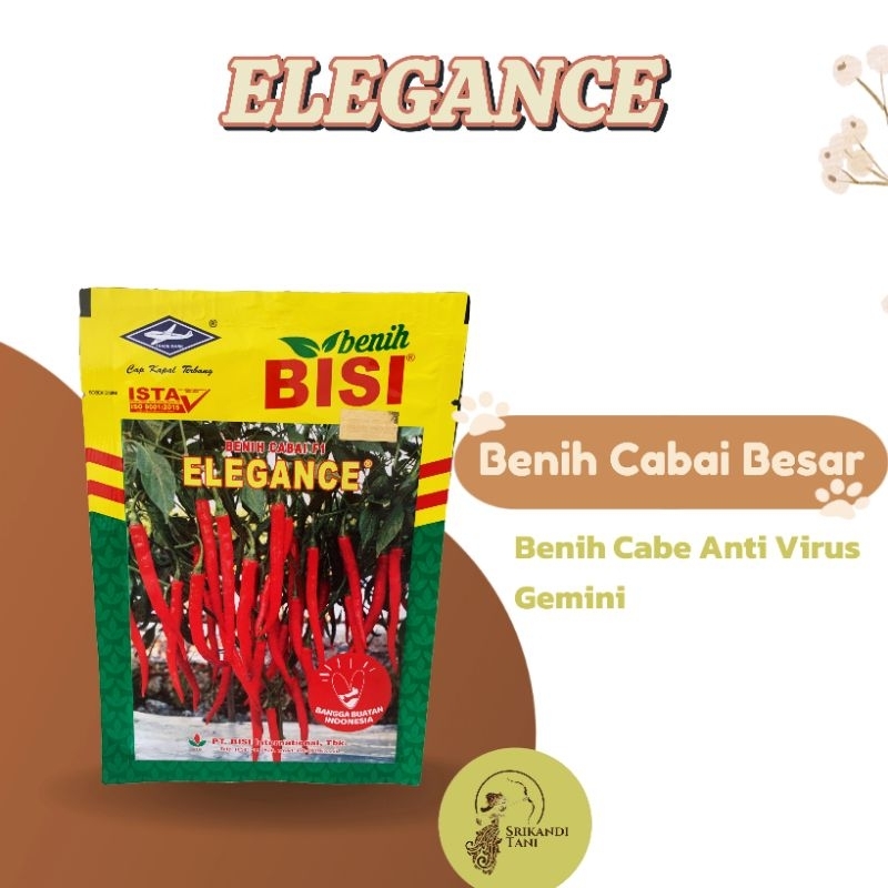 

Cabe Elegance F1 Hibrida 10gr Tahan Virus Original Pabrik Cap Kapal Terbang