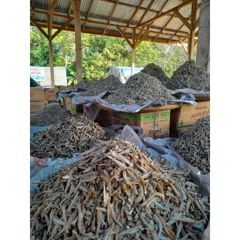 

Teri Sumatra 1 kg