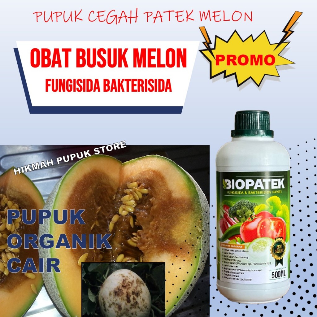 BUANAPATEK Fungisida Hayati Obat Penyakit Melon Daun Kuning Ampuh, Obat Daun Melon Menguning & Mati 