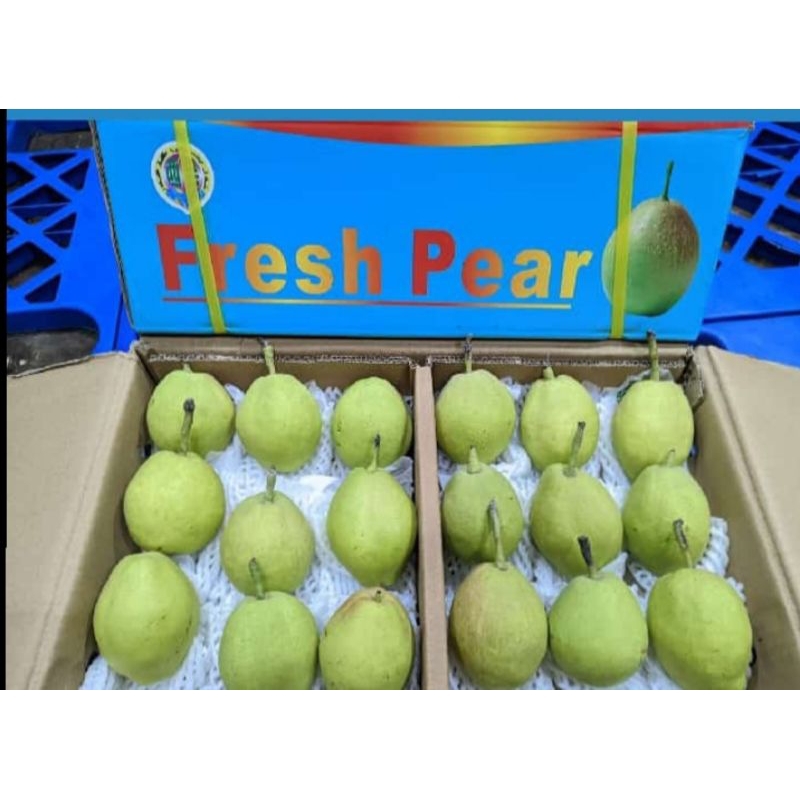 

pear xiangli/pear garing rasa manis banyak air