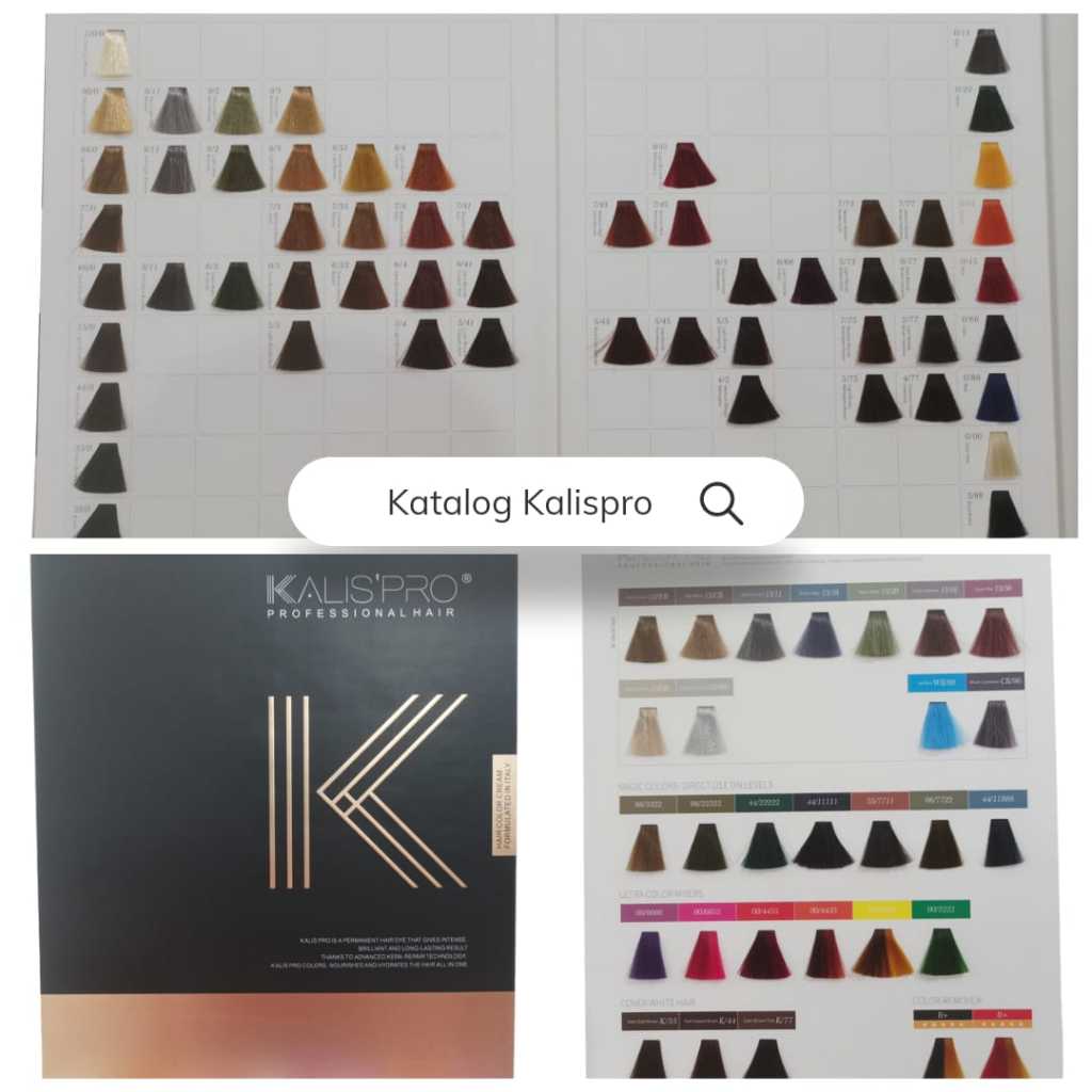 

[bisa cod] buku katalog warna rambut / hair chart colour book Kalis