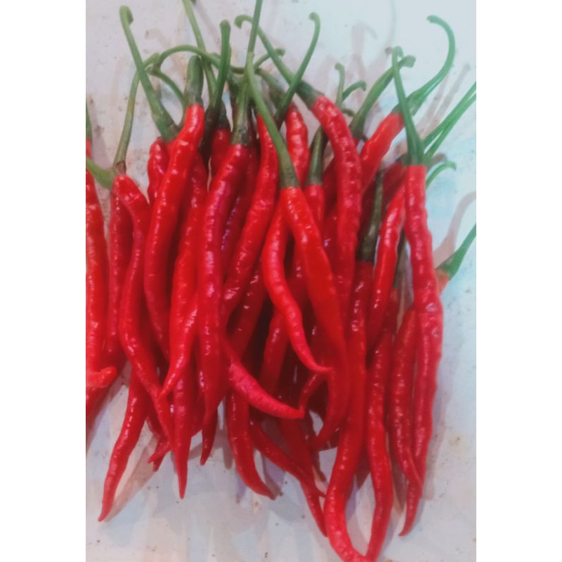 

cabe kriting merah 1000g