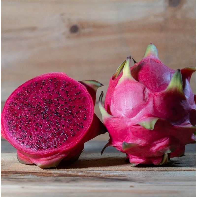 

Bibit Stekan Buah Naga Merah & Putih Asli ( Bisa COD )