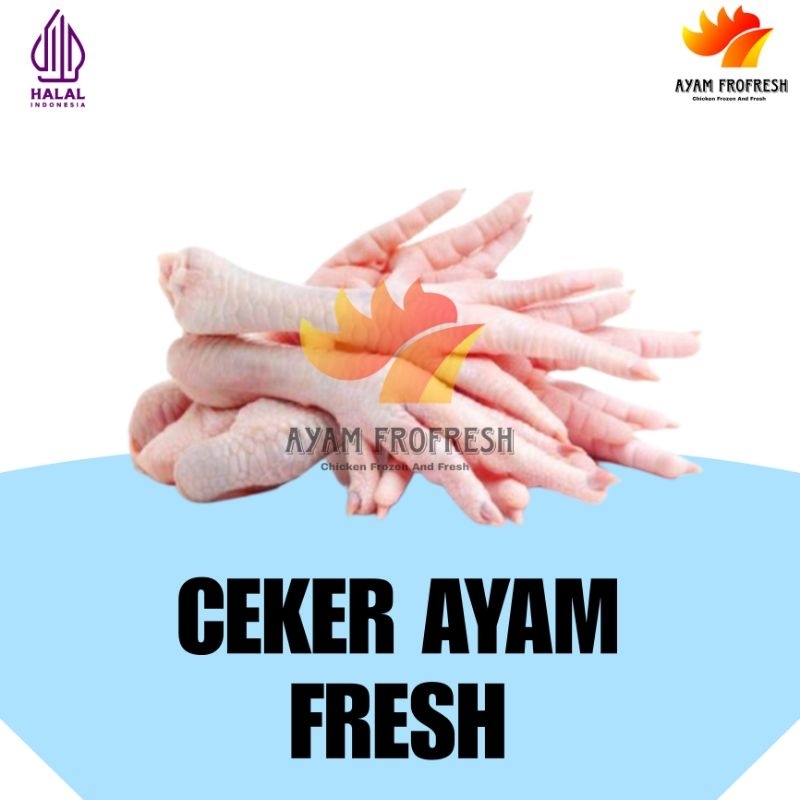 

Ceker ayam fresh halal langsung dari pemotongan