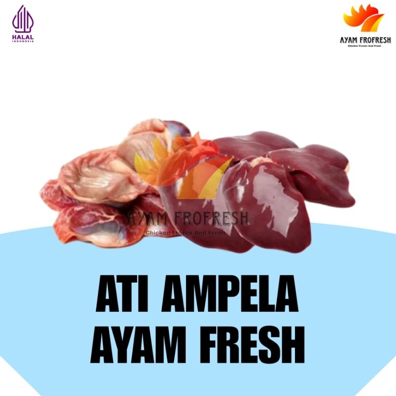 

Ati ampela ayam fresh 500gram halal langsung dari pemotongan