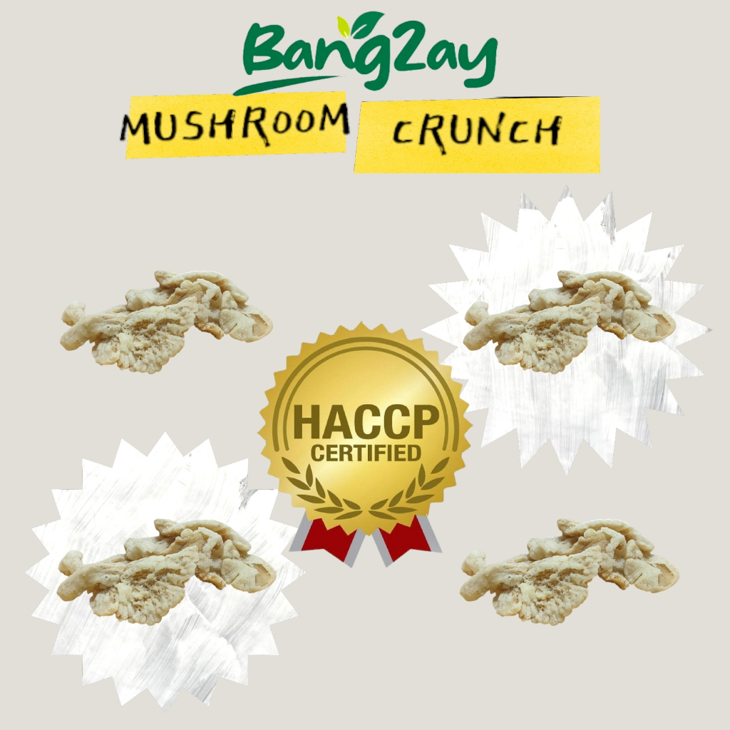 

Forcysn Keripik Sayur Dan Buah Nangka Pisang Apel Mangga Salak Brokoli Jamur Bangzay Kualitas Super