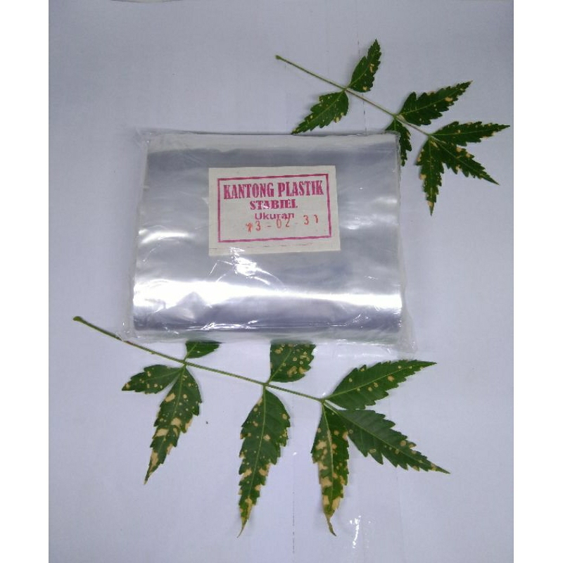 kantong plastik bening  I ukuran(13x31,13x40,13x43,13x45,13x48,13x50,14x31,14x40,14x43,14x45,14x48,1