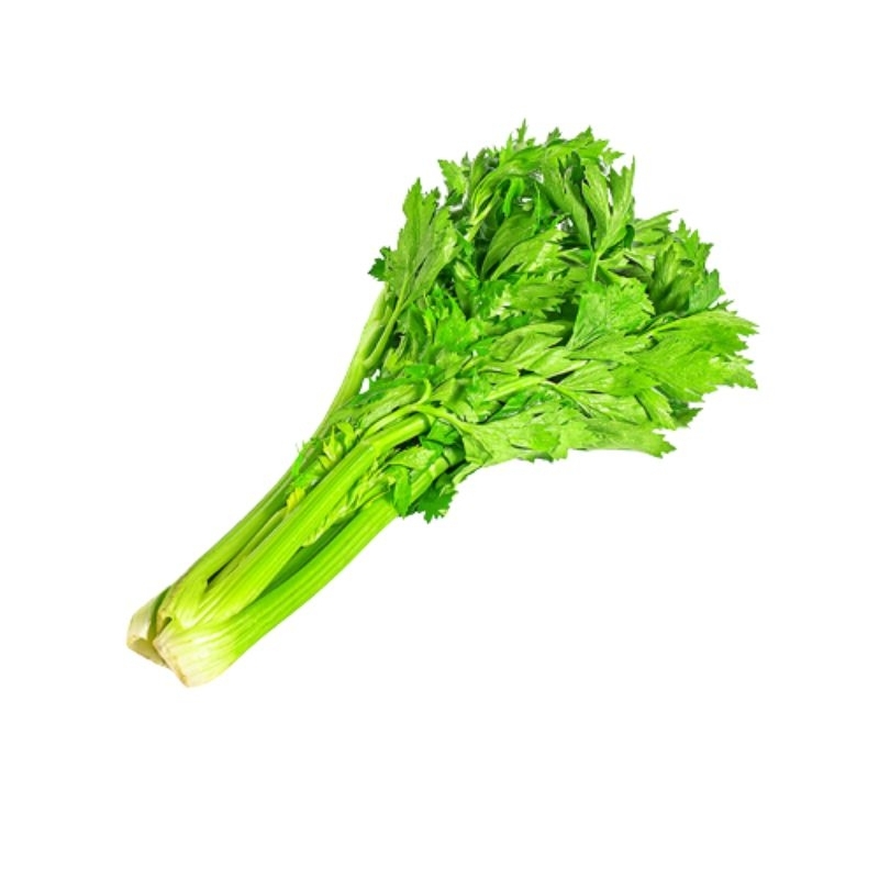 

jual sayuran seledri penyedap masakan segar per 1 ikat