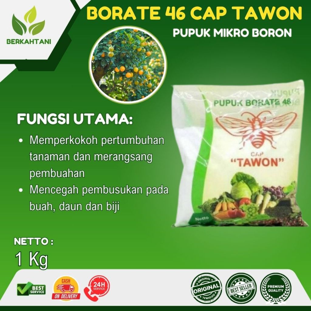Pupuk Borate Cap Tawon 48 Boron 46 Persen 1 Kg