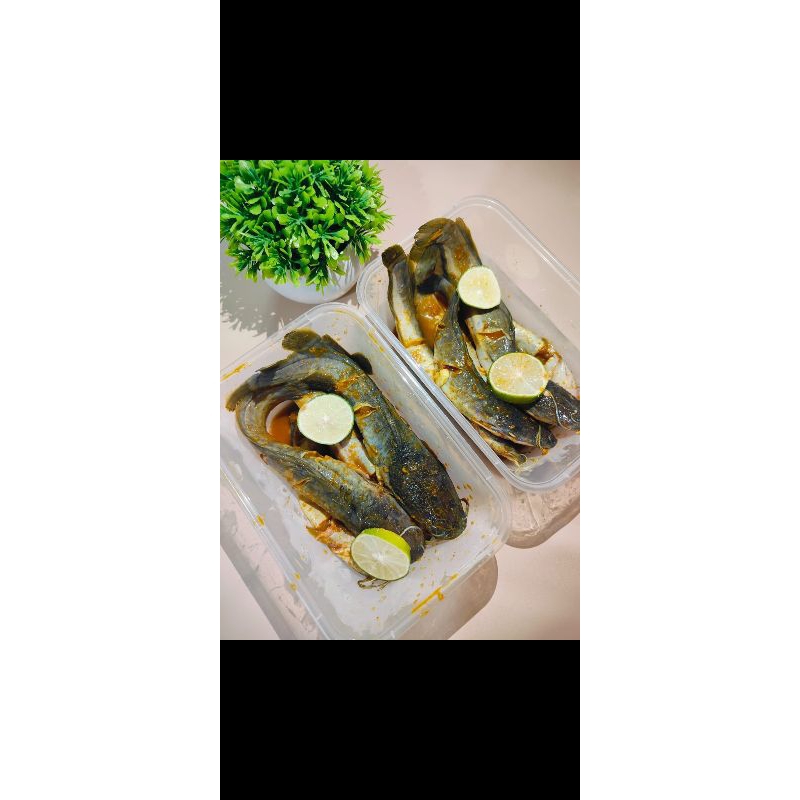 

Ikan Lele Bumbu Kuning 1Kg